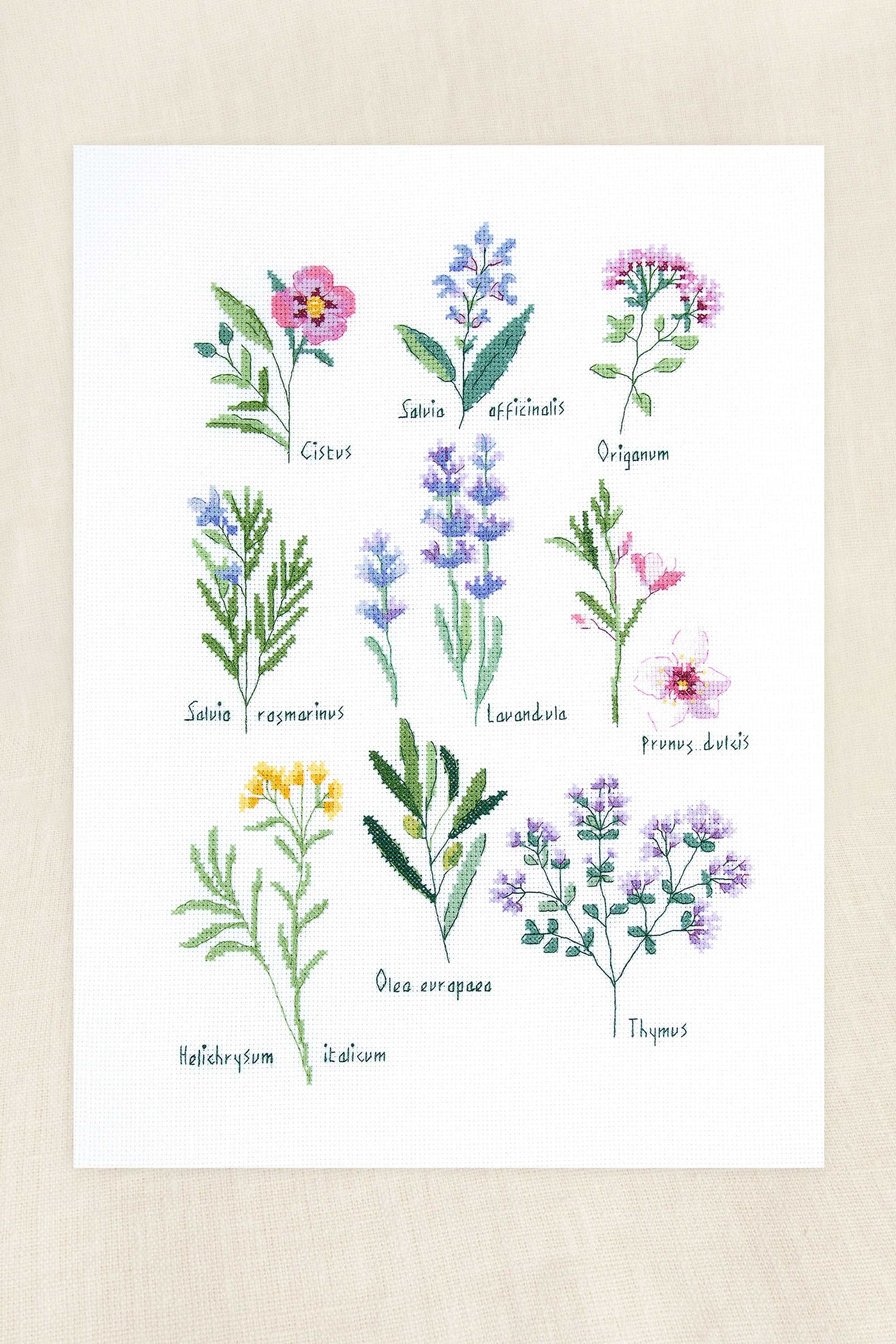 DMC 十字繡材料包 [香草] herbs by nathalie weinzaepflen